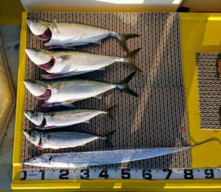 火遠理丸(ほおりまる) 釣果