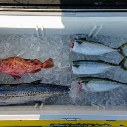 火遠理丸(ほおりまる) 釣果