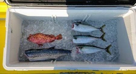 火遠理丸(ほおりまる) 釣果