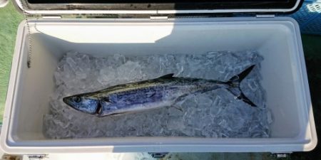 火遠理丸(ほおりまる) 釣果