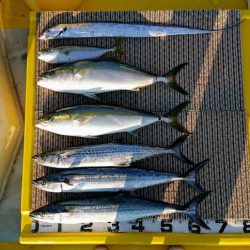 火遠理丸(ほおりまる) 釣果