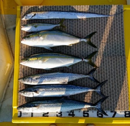 火遠理丸(ほおりまる) 釣果