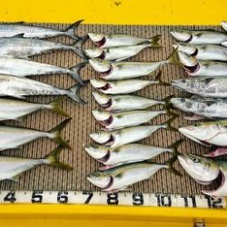 火遠理丸(ほおりまる) 釣果