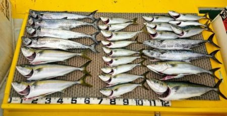 火遠理丸(ほおりまる) 釣果