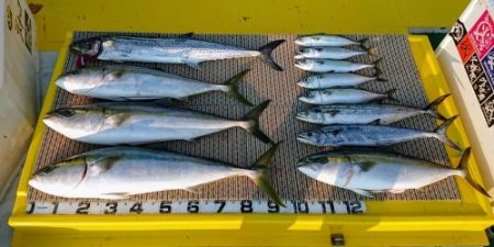 火遠理丸（ほおりまる） 釣果