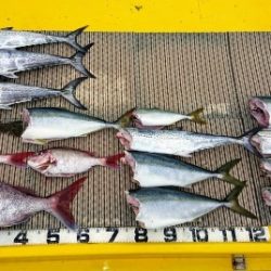 火遠理丸(ほおりまる) 釣果