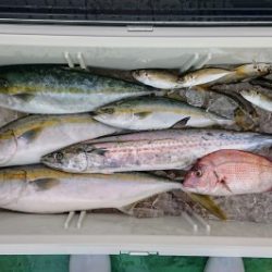 火遠理丸(ほおりまる) 釣果