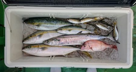 火遠理丸(ほおりまる) 釣果