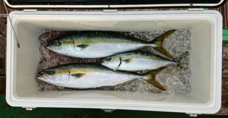 火遠理丸(ほおりまる) 釣果