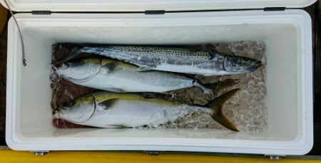 火遠理丸(ほおりまる) 釣果