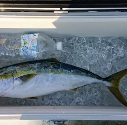 火遠理丸(ほおりまる) 釣果