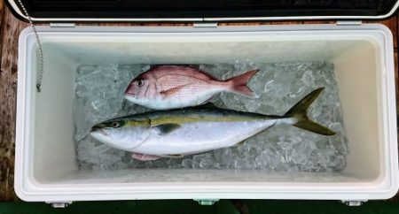 火遠理丸(ほおりまる) 釣果