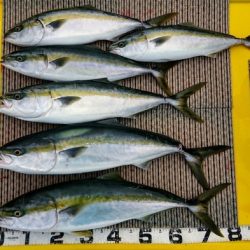 火遠理丸(ほおりまる) 釣果