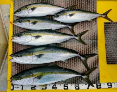 火遠理丸(ほおりまる) 釣果