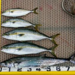 火遠理丸(ほおりまる) 釣果