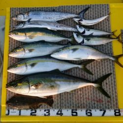 火遠理丸(ほおりまる) 釣果