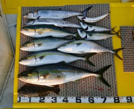 火遠理丸（ほおりまる） 釣果