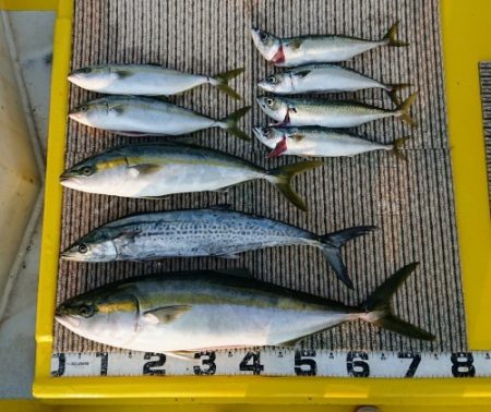 火遠理丸(ほおりまる) 釣果