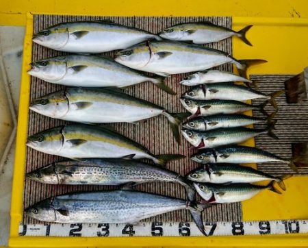 火遠理丸（ほおりまる） 釣果