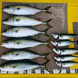 火遠理丸(ほおりまる) 釣果