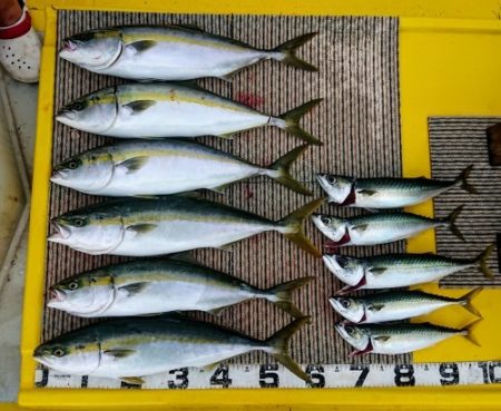 火遠理丸(ほおりまる) 釣果