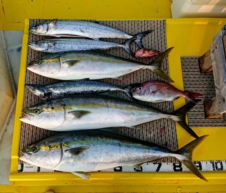 火遠理丸（ほおりまる） 釣果