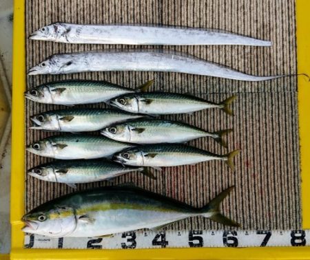 火遠理丸(ほおりまる) 釣果