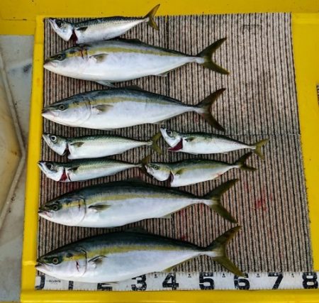 火遠理丸(ほおりまる) 釣果