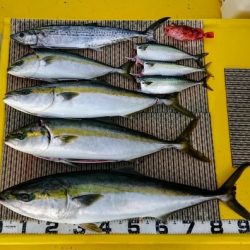 火遠理丸(ほおりまる) 釣果