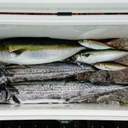 火遠理丸(ほおりまる) 釣果