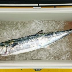 火遠理丸(ほおりまる) 釣果