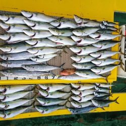 火遠理丸(ほおりまる) 釣果