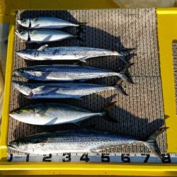 火遠理丸（ほおりまる） 釣果