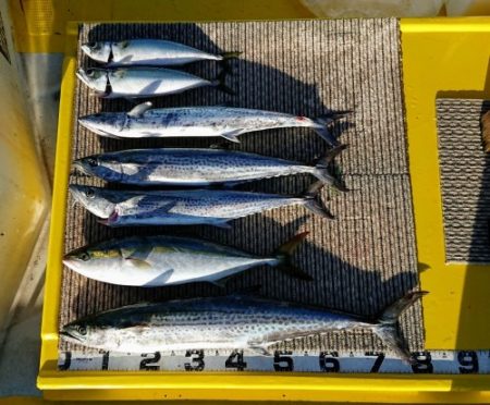 火遠理丸（ほおりまる） 釣果