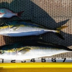 火遠理丸（ほおりまる） 釣果