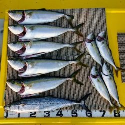 火遠理丸(ほおりまる) 釣果