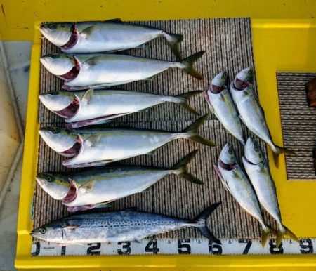 火遠理丸(ほおりまる) 釣果