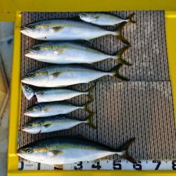 火遠理丸(ほおりまる) 釣果