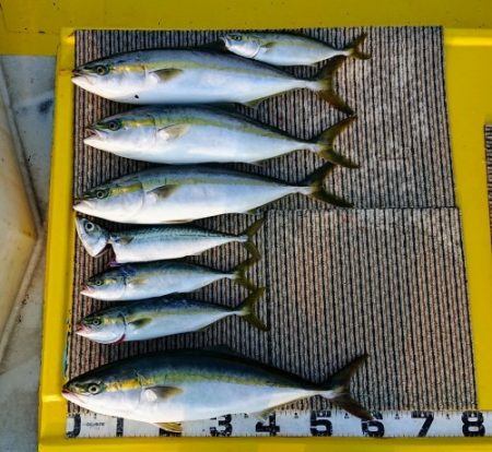 火遠理丸(ほおりまる) 釣果