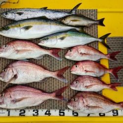 火遠理丸(ほおりまる) 釣果