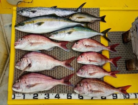 火遠理丸(ほおりまる) 釣果