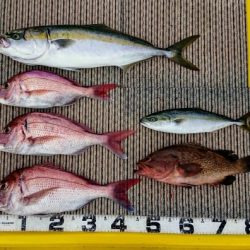 火遠理丸(ほおりまる) 釣果