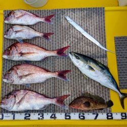 火遠理丸(ほおりまる) 釣果