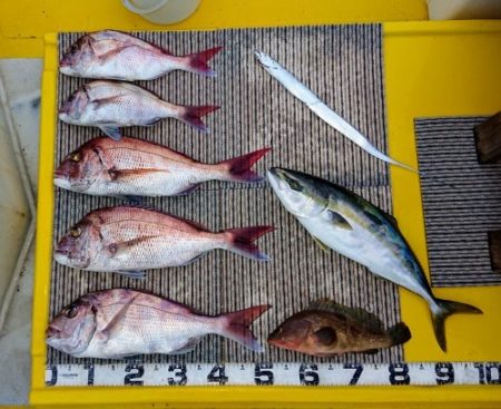 火遠理丸（ほおりまる） 釣果