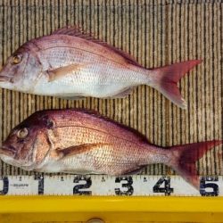 火遠理丸(ほおりまる) 釣果