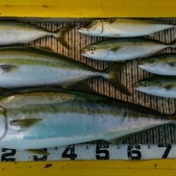 火遠理丸(ほおりまる) 釣果