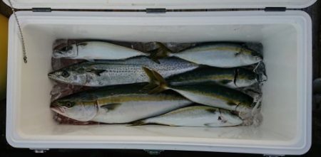 火遠理丸(ほおりまる) 釣果