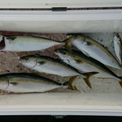 火遠理丸(ほおりまる) 釣果