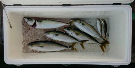 火遠理丸(ほおりまる) 釣果