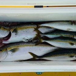 火遠理丸(ほおりまる) 釣果